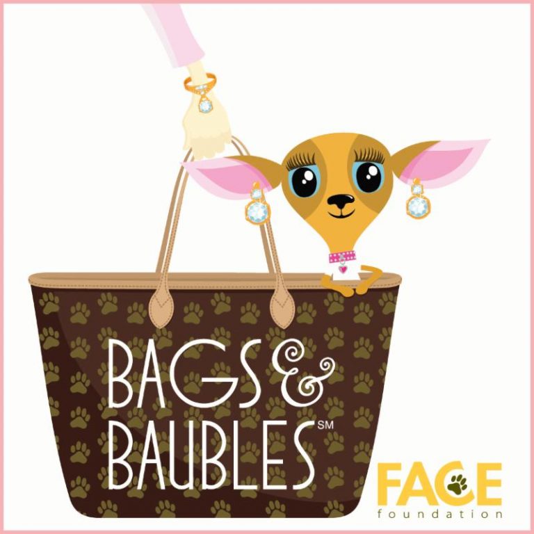 1st Annual Bags & Baubles a Howling Success!!! FACE Foundation