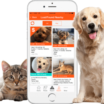 New App Helps San Diego Dog Owners Find Lost Dogs - FACE Foundation