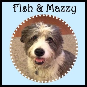 Fish & Mazzy