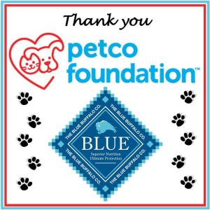 Blue buffalo at petco sale