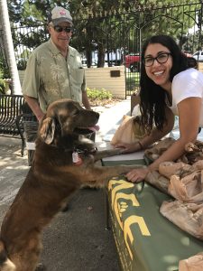 dog charities near me