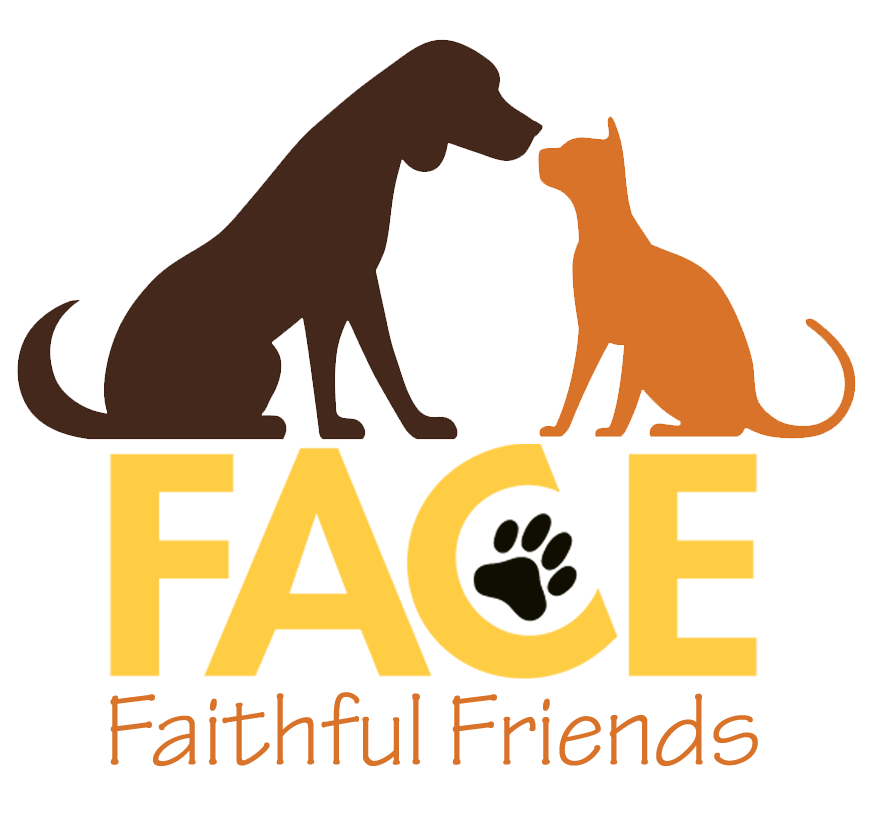 FACE Foundation for Animals | Best Animal Charity