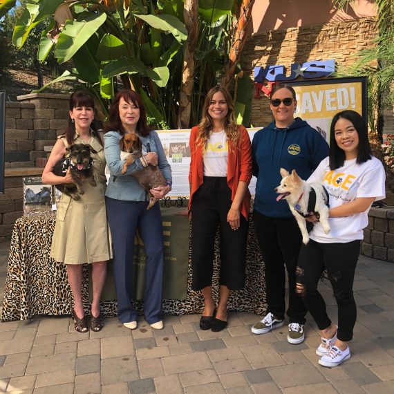 Animaltarian KUSI