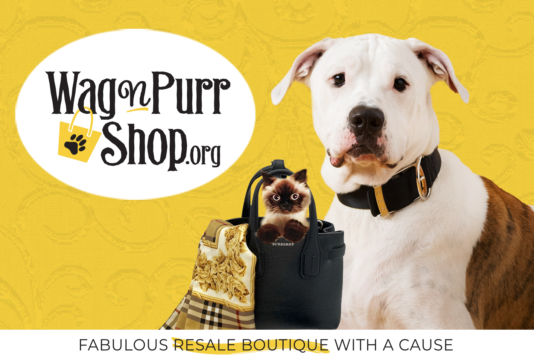 Investment Bags — The Purchase that Pays!– Wag N' Purr Shop
