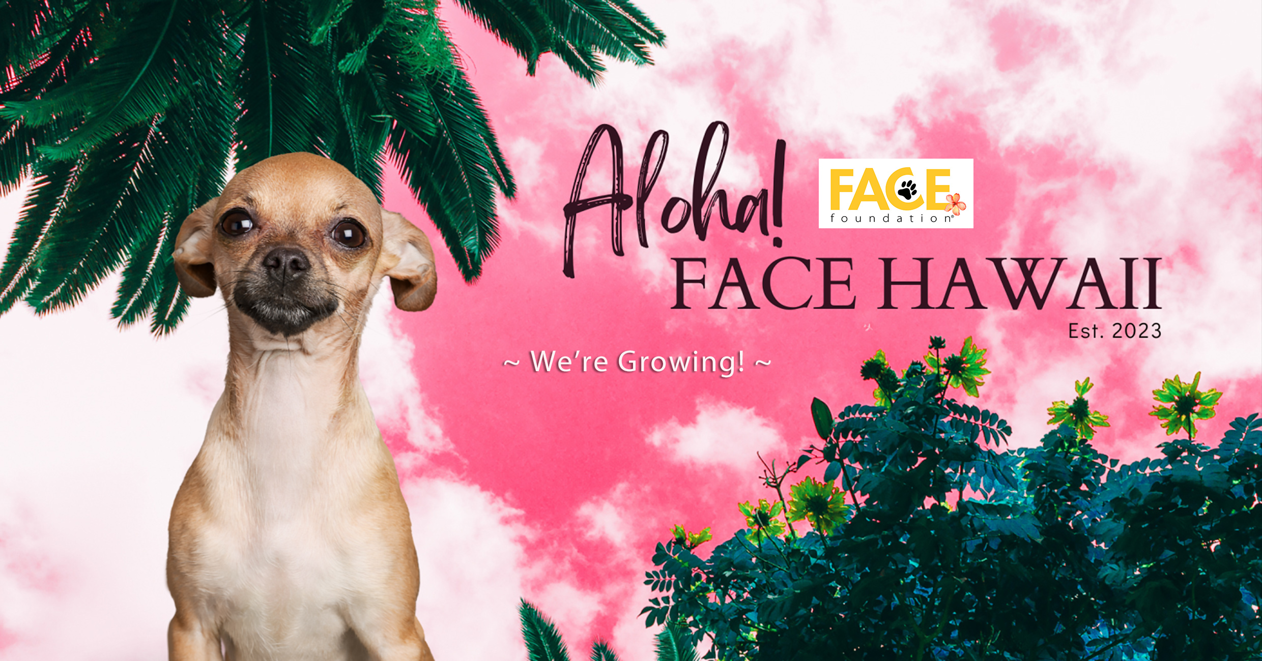 FACE Foundation Hawaii