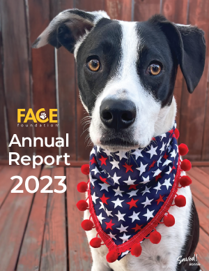 FACE-2023-Annual-Report-Cover-Web-Financials